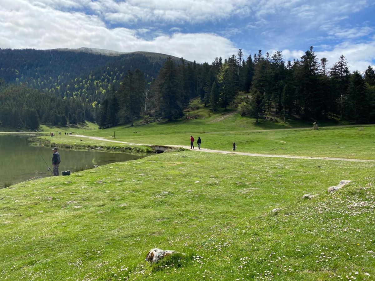 Gite Chaleureux Au Lac De Payolle Campan Dış mekan fotoğraf