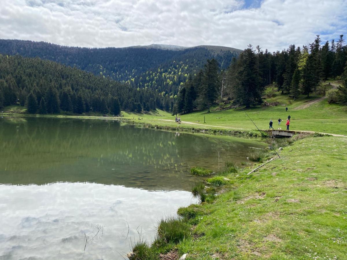 Gite Chaleureux Au Lac De Payolle Campan Dış mekan fotoğraf