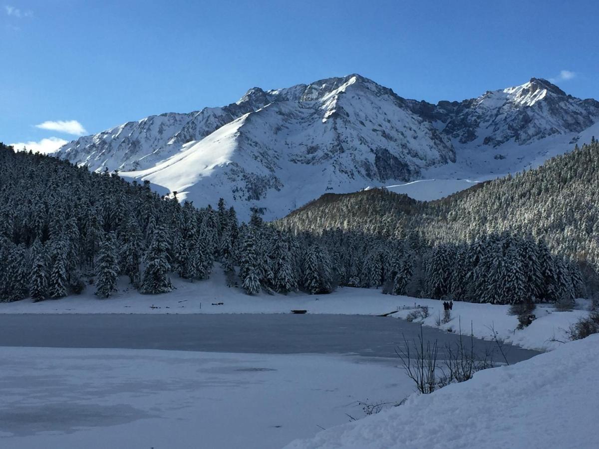 Gite Chaleureux Au Lac De Payolle Campan Dış mekan fotoğraf