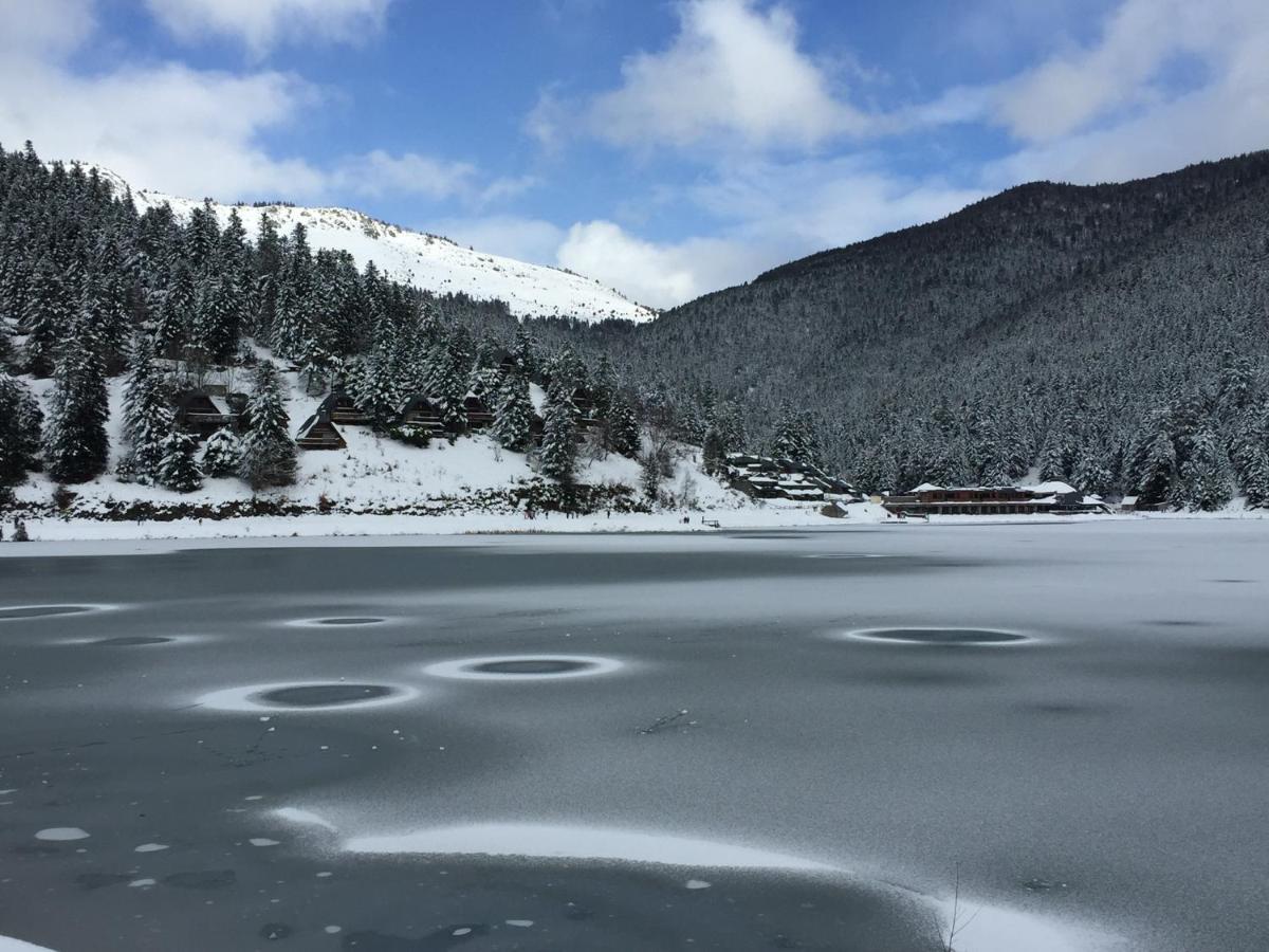 Gite Chaleureux Au Lac De Payolle Campan Dış mekan fotoğraf